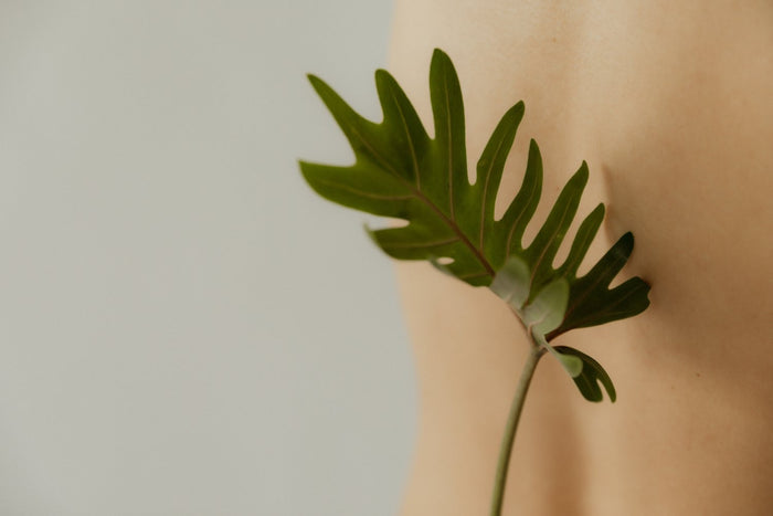 Natural botanicals that boost libido