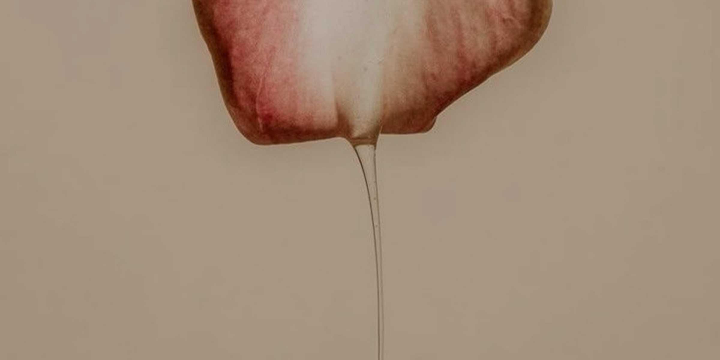 <p>“Bloomii is a clean, intimate care brand designed for all bodies and founded by a sexologist. They make highly-rated sexual wellness products that reviewers love.”</p>